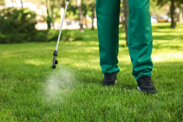 Best Wasp Removal Services  in Coal City, WV