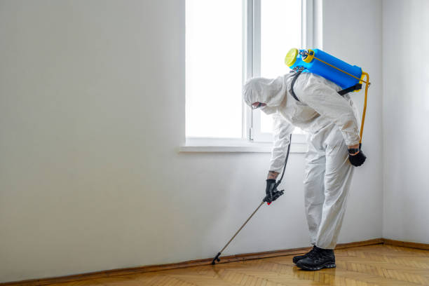 Best Best Pest Control Companies  in Coal City, WV
