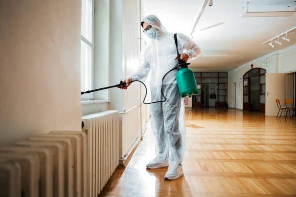 Professional Pest Control in Coal City, WV