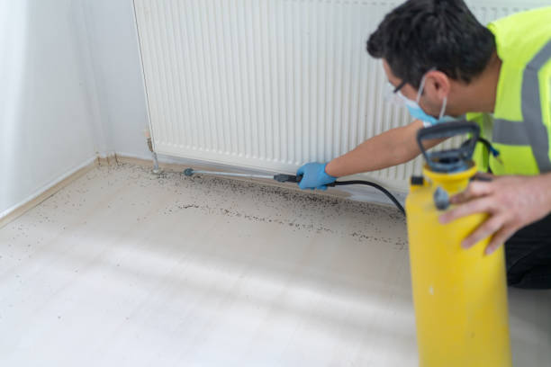 Best Pest Prevention Services  in Coal City, WV